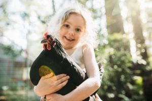 Girl holds pet hen