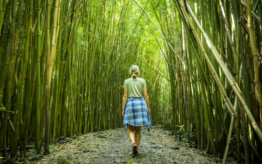 Traveler walking through forest after reading story on ecotourism