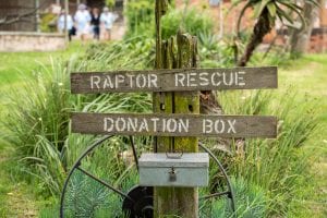 A box for collecting donations at a bird sanctuary.