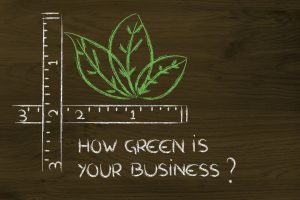 Green initiatives and the right environmental pr agency can reinvent your brand.