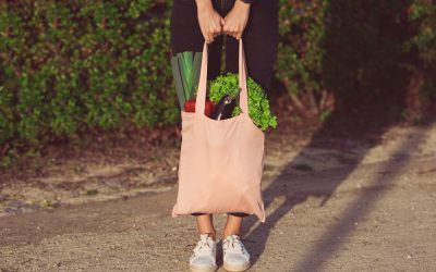 3 Ways to Build Your Brand Through Plant-Based Public Relations