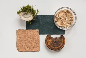 An example of a vegan leather product made out of mushrooms
